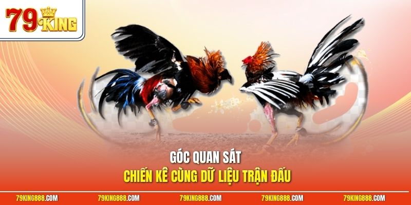 Góc quan sát chiến kê cùng dữ liệu trận đấu