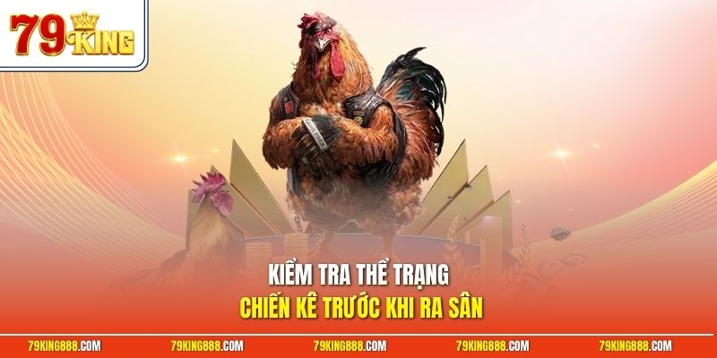 kiem-tra-the-trang-chien-ke-truoc-khi-ra-san Kiểm tra thể trạng chiến kê trước khi ra sân