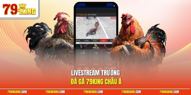 Livestream trường đá gà 79King châu Á