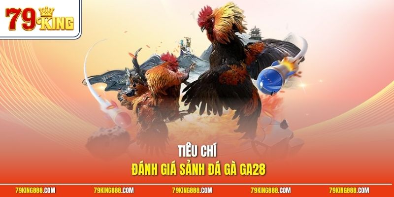 Tiêu chí đánh giá sảnh đá gà GA28