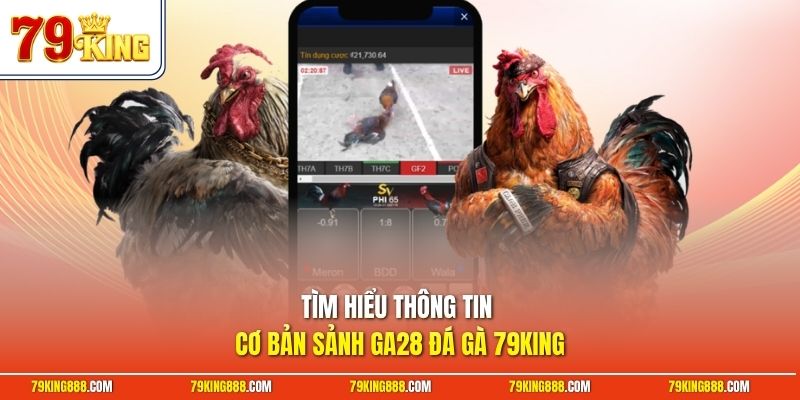 Tìm hiểu thông tin cơ bản sảnh GA28 đá gà 79King