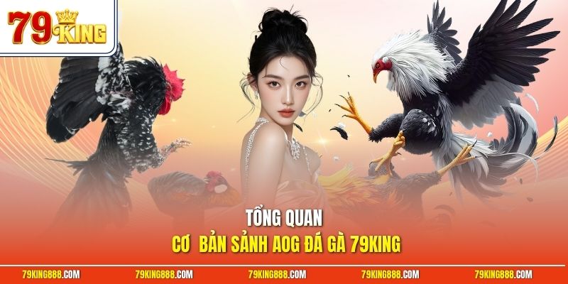 tong-quan-co-ban-sanh-aog-da-ga-79king Tổng quan cơ bản sảnh AOG đá gà 79King